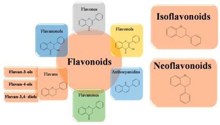Where are flavones found?